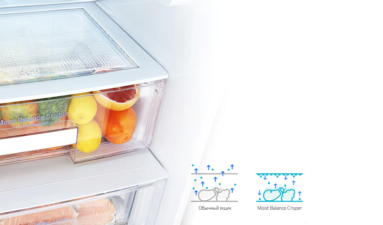 Moist&nbsp;Balance&nbsp;Crisper*1