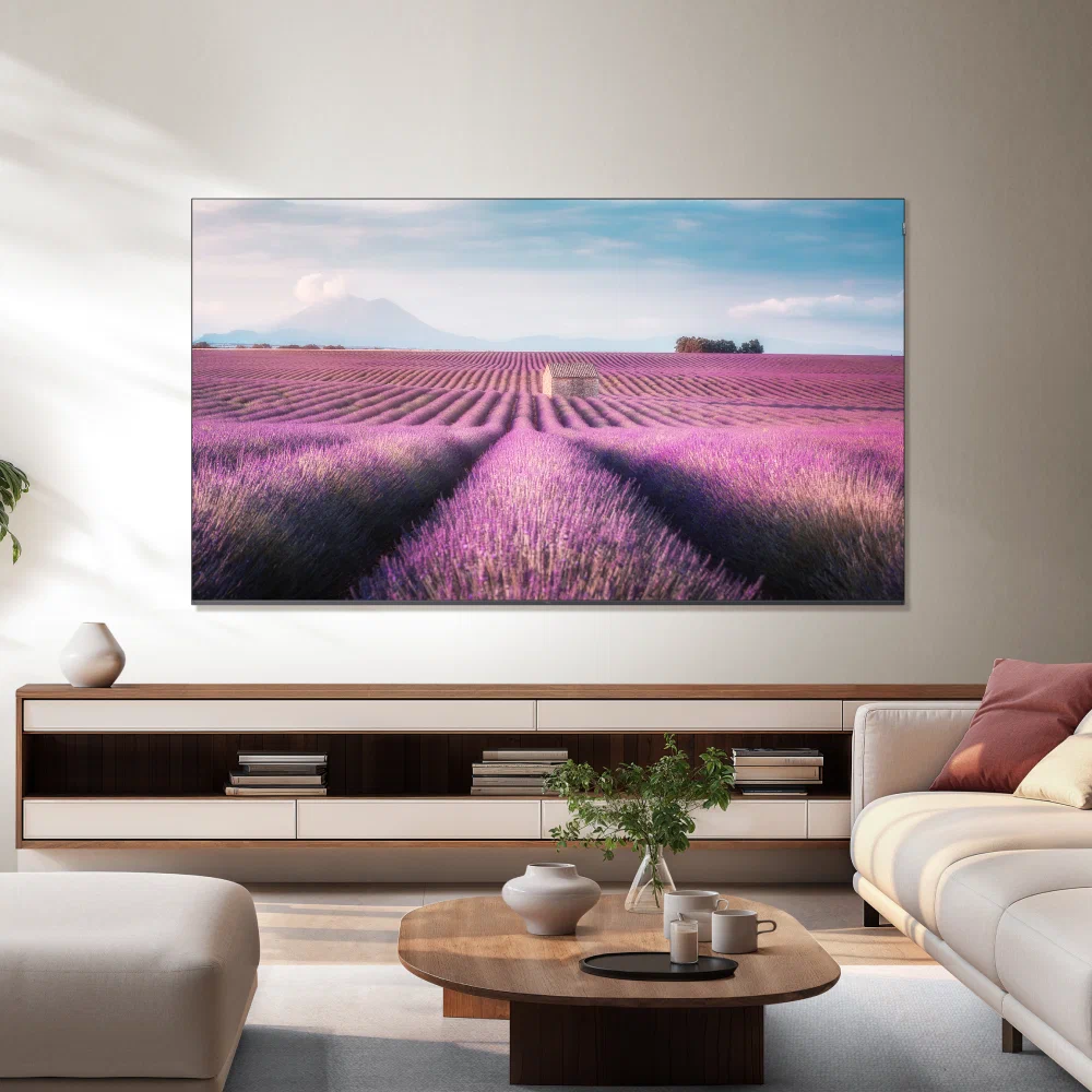 TCL 65C6K — порты и разъёмы, вид сбоку
