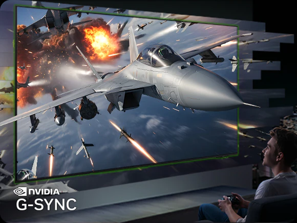 Samsung QE77S90H NVIDIA G-Sync — геймер играет в игру с воздушными боями