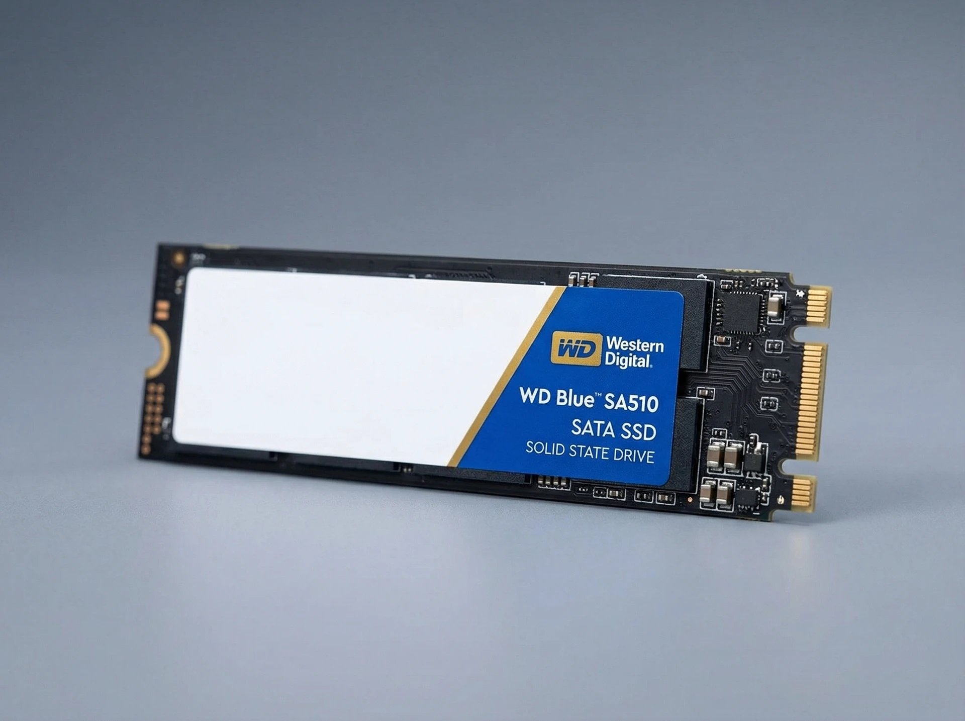 WD Blue SA510 1ТБ M.2 2280 — размещение в слоте материнской платы, демонстрация форм-фактора