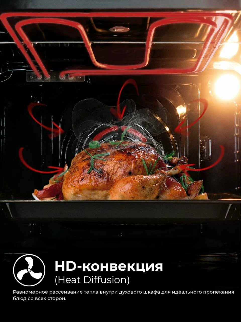 LEX EDS 101 BBL конвекционный нагрев — циркуляция тепла при запекании курицы