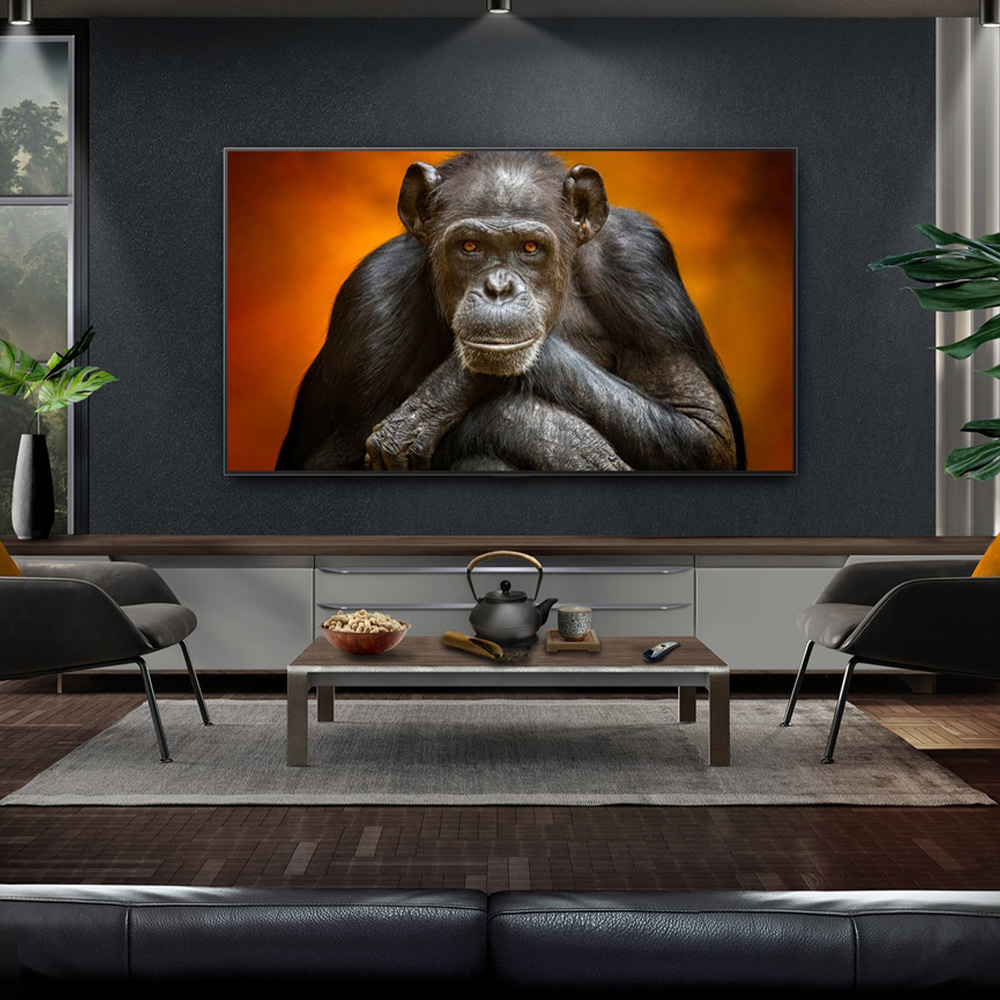Сертифицированная точность/объём цвета — LG OLED65G5RLA (65g5)